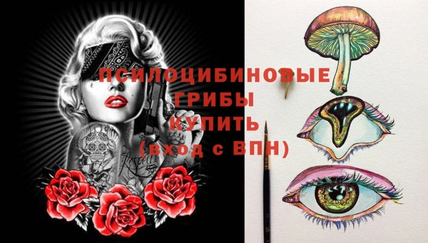 СК Абдулино