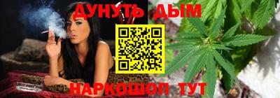 гидропоника Можга