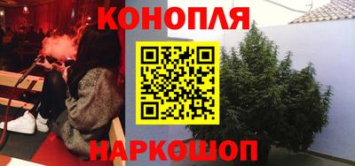 гидропоника Можга