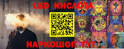 гидропоника Можга