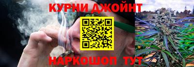 гидропоника Можга