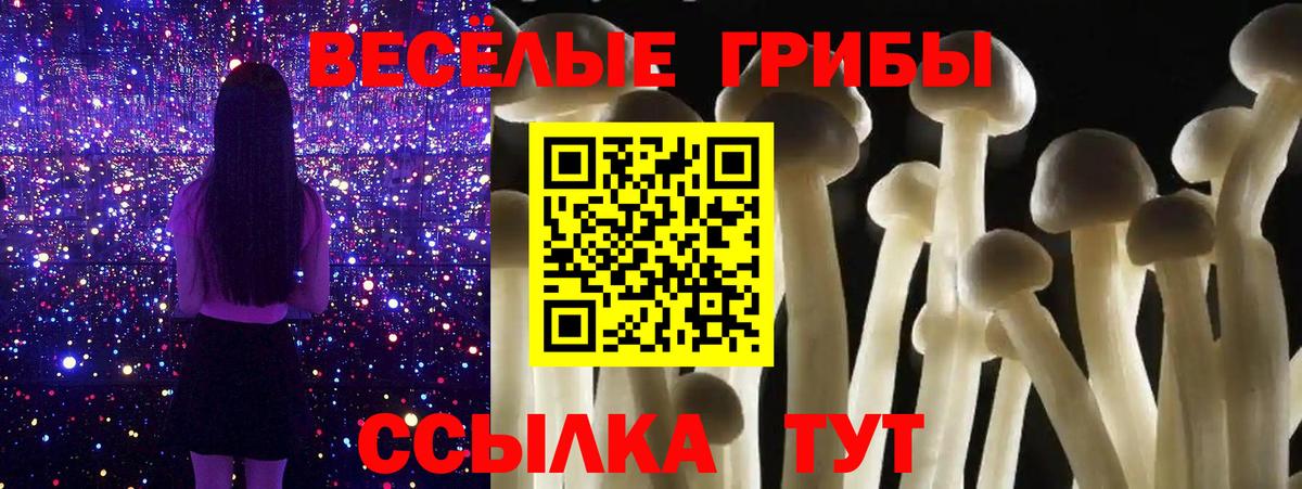Хасавюрт  Галлюциногенные грибы прущие грибы  Вход с VPN 