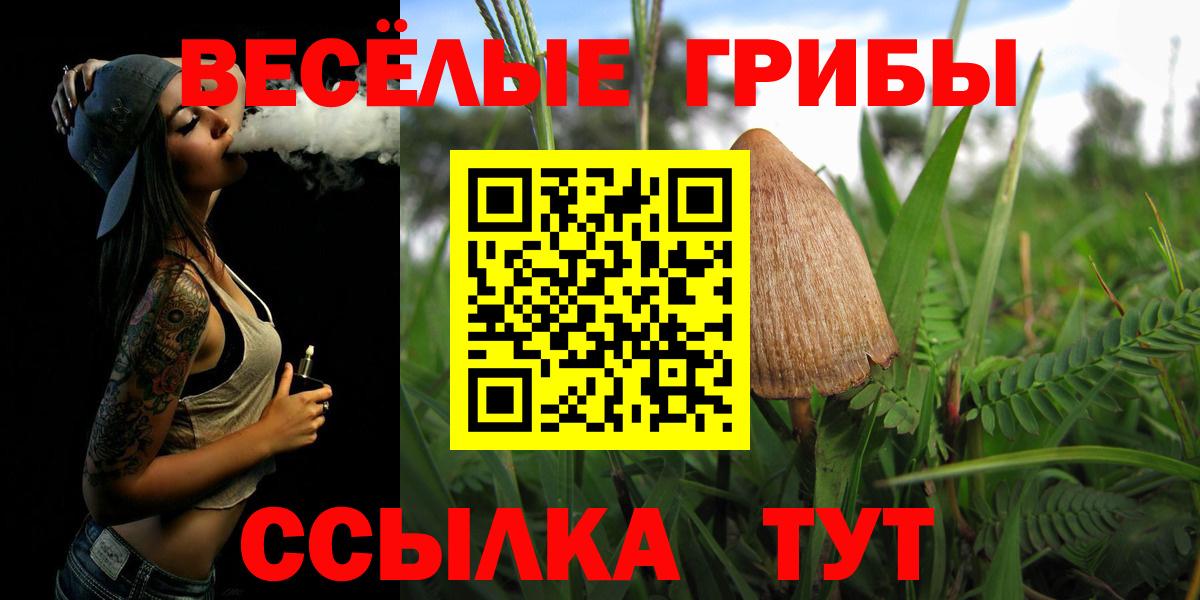 Псилоцибиновые грибы прущие грибы Хасавюрт